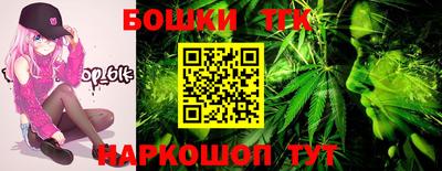 индика Ирбит