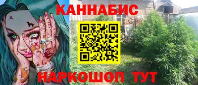 индика Ирбит