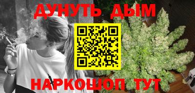 индика Ирбит