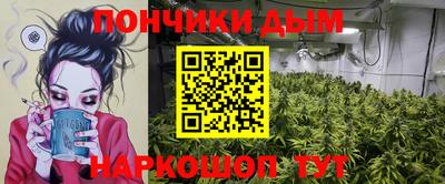 индика Ирбит