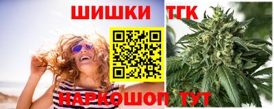 индика Ирбит