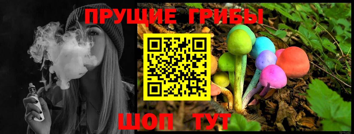 где можно купить наркотик  Псилоцибиновые грибы GOLDEN TEACHER  Вход с VPN  Кудрово  Галлюциногенные грибы прущие грибы 