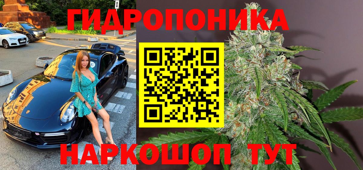 Марихуана гибрид Кудрово